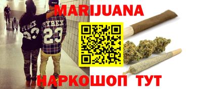 тгк Партизанск
