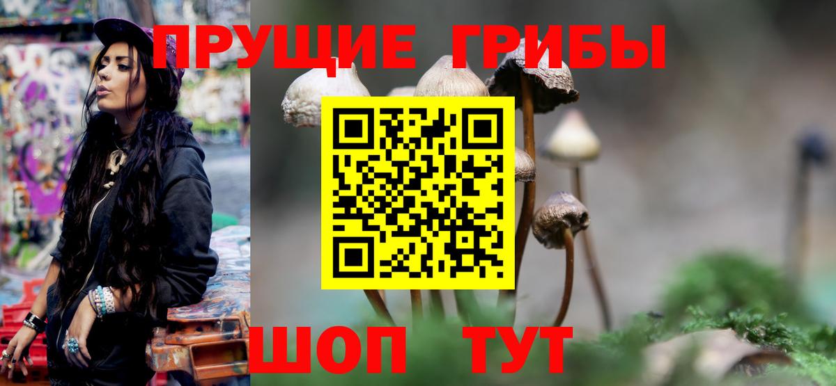 Псилоцибиновые грибы Magic Shrooms Сертолово