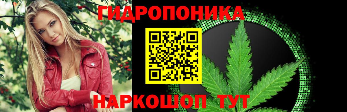 Канабис White Widow  Вход с VPN  Каннабис тримм  Сертолово 